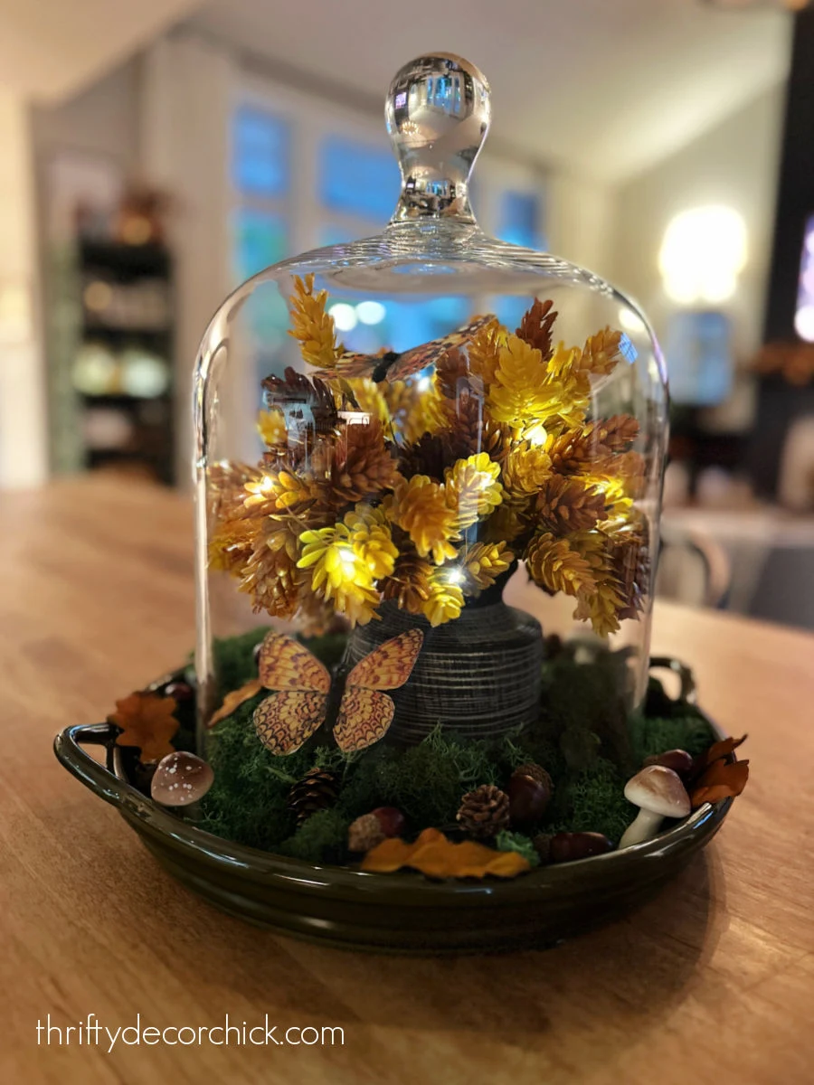 fall decor under glass cloche